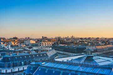 巫师3二周目鼠李草怎么扔