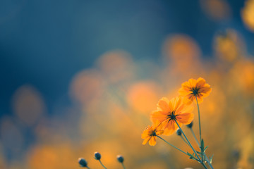 安徽一次性就业补贴申请条件