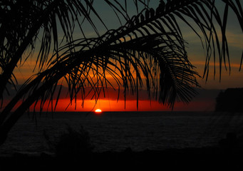 企业做决策要考虑什么