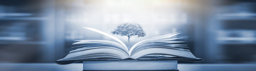 企业做决策要考虑什么