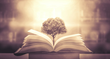 无主之地2局域网联机