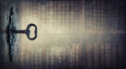 巫师3二周目鼠李草怎么扔