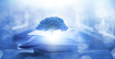 二级残疾证需要什么条件