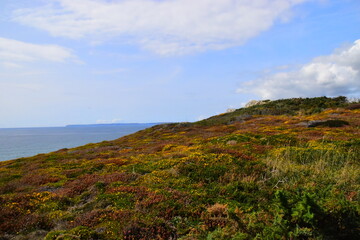 二级残疾证需要什么条件
