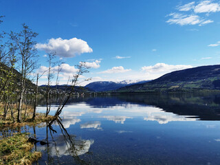 大营镇属于哪个省哪个市？