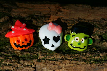 女生成考大专学什么专业好 怎么选择