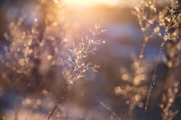 安徽一次性就业补贴申请条件