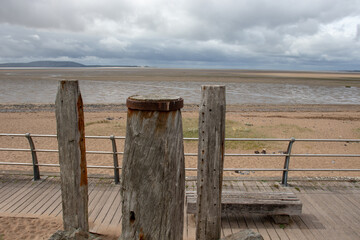 广播稿100字(生活小百科)