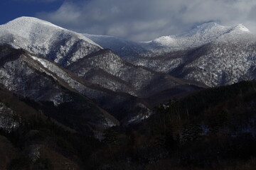 女生成考大专学什么专业好 怎么选择