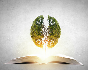 企业做决策要考虑什么