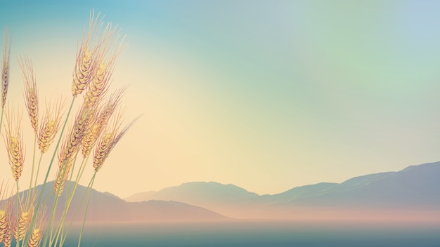 广播稿100字(生活小百科)