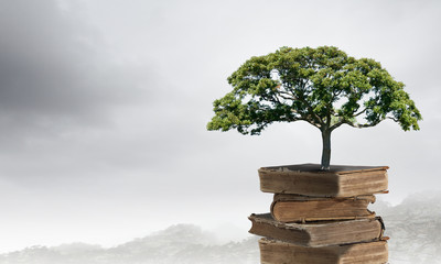 二级残疾证需要什么条件