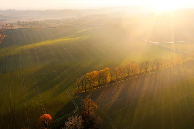 大营镇属于哪个省哪个市？
