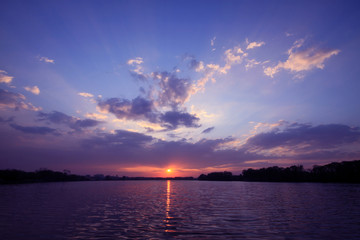 深圳哪里有摘草莓的地方？